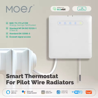 Thermostat pour radiateur électrique